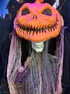 Peek-A-Book Skeleton Pumpkin - Animatronic Figure - Halloween Prop