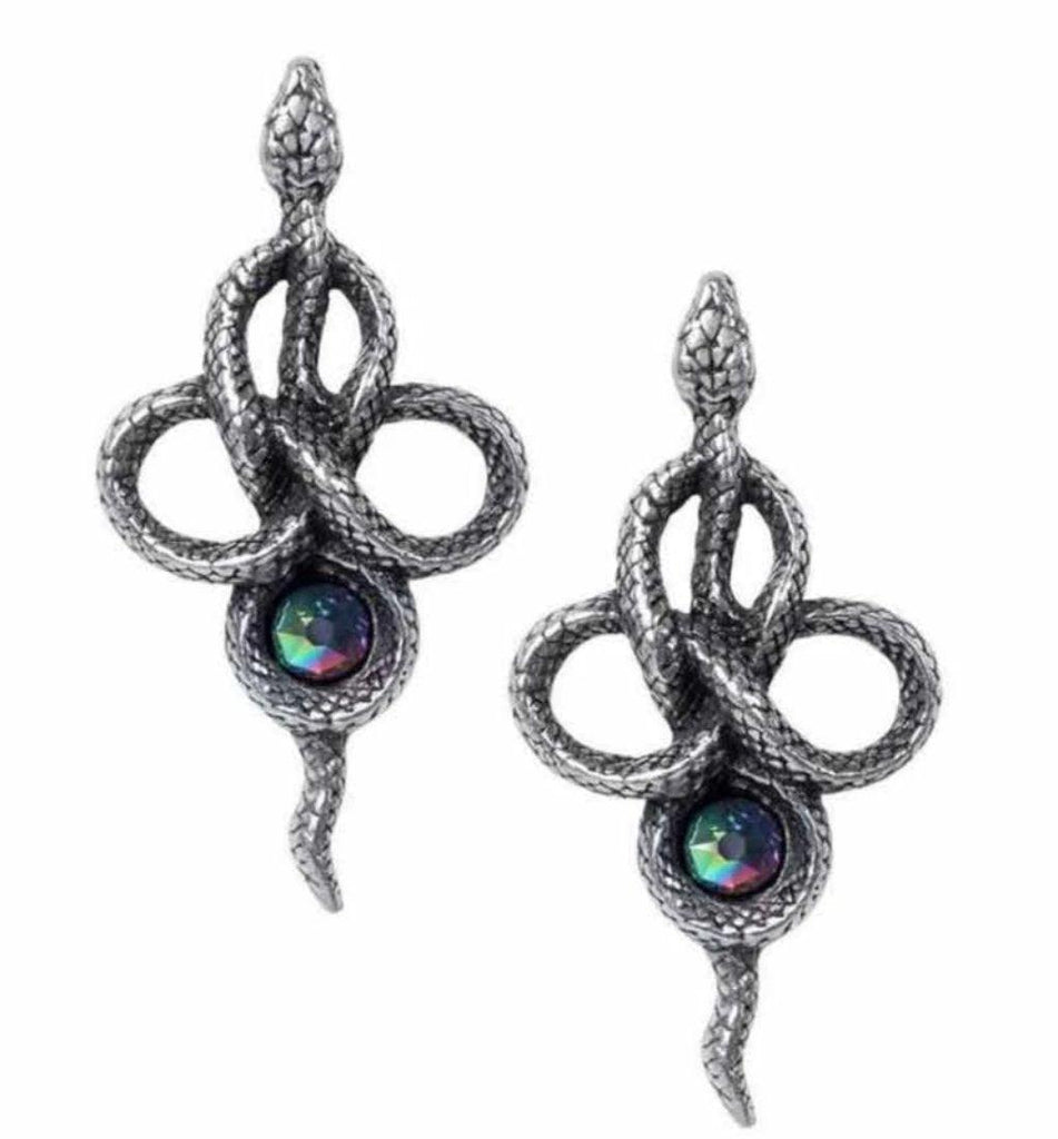 Image of the earrings