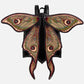Restyle - Metamorphosis - Whimsical | Gothic Backpack